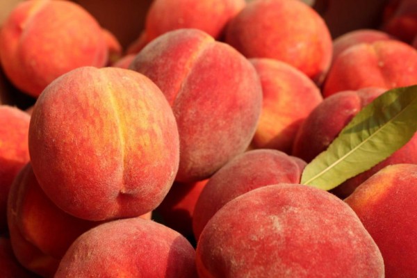 5 Fakta Buah Peach yang Populer di Luar Negeri!