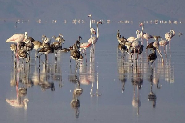 10 Potret Tuz Golu di Turki, Danau Garam Paling Asin Sedunia