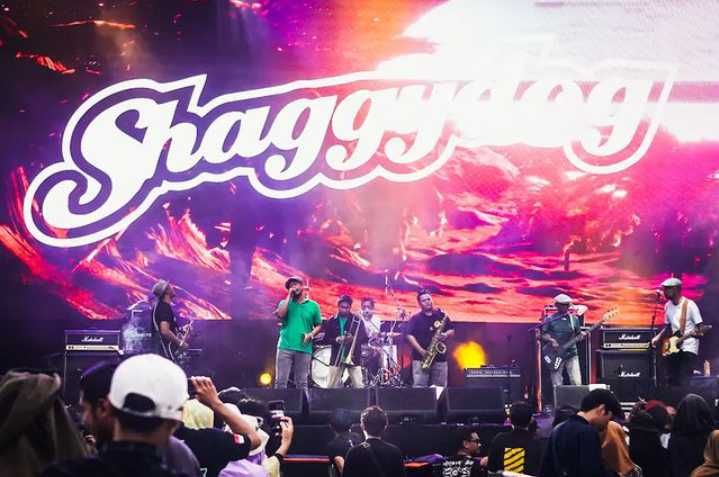 Profil Band Shaggydog, Rayakan 25 Tahun Bermusik di Indonesia
