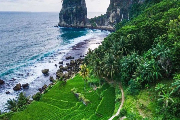 Pantai Pangasan Pacitan: Informasi Lokasi, Harga Tiket, dan Tips