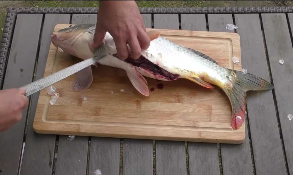 Resep Ikan Gurami Saus Tauco, Pedasnya Bikin Lidah Bergoyang