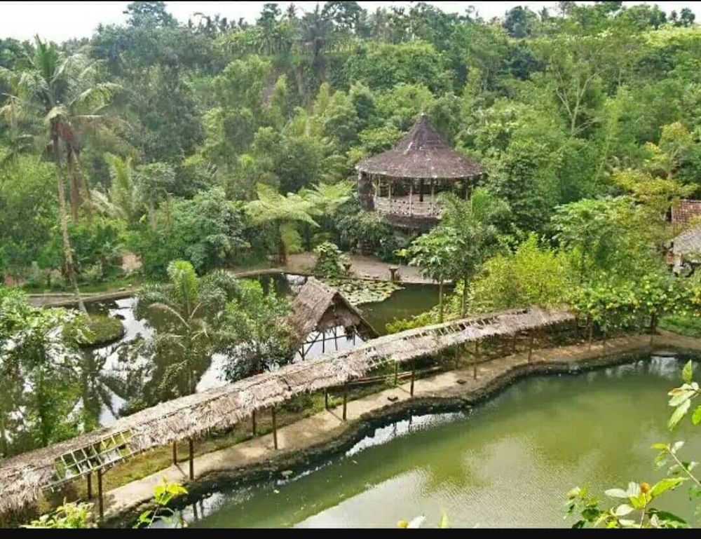 5 Desa Wisata Indonesia Berkonsep Sustainable Tourism, Green Living! 