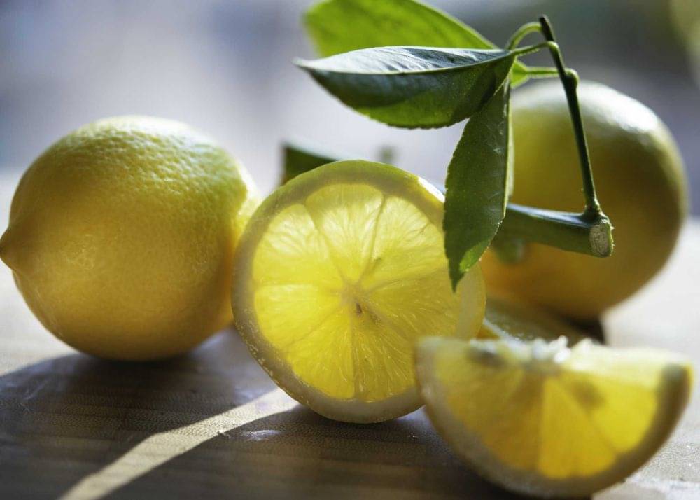 5 Fakta Tanaman Lemon, Buah Segar Yang Jadi Favorit