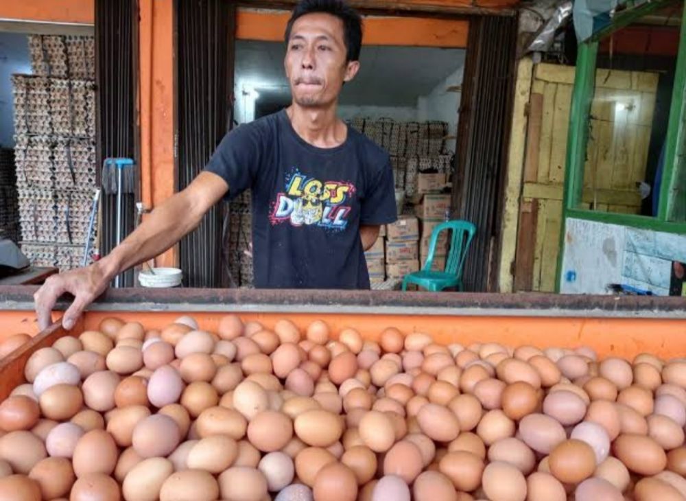 Naik Drastis, Harga Telur Ayam di Kota Serang Tembus Rp36 Ribu per Kg 