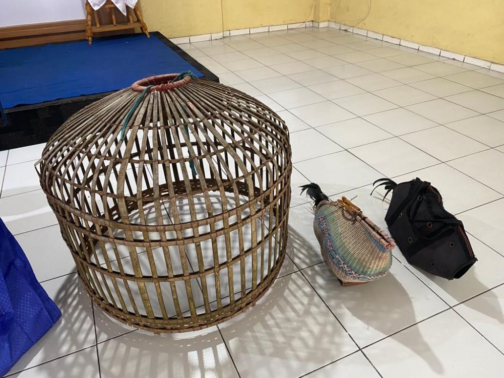 Polisi Gerebek Judi Sabung Ayam di Kabupaten Tangerang