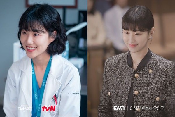 Peran Ha Yoon Kyung di Extraordinary Attorney Woo dan Hospital Playlis