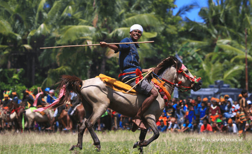 Fakta Unik Pasola, Perang Adat Sumba