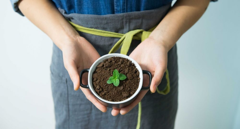 7 Cara Membuat Pupuk Rumahan, Minim Biaya Kebun Jadi Rimbun