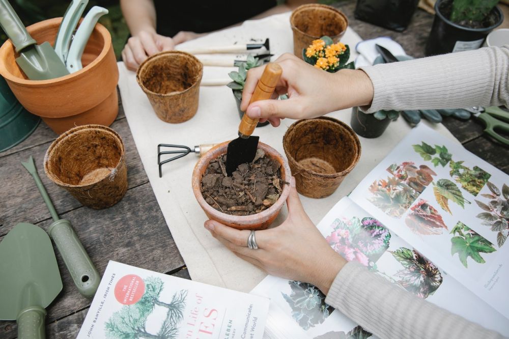 7 Cara Membuat Pupuk Rumahan, Minim Biaya Kebun Jadi Rimbun