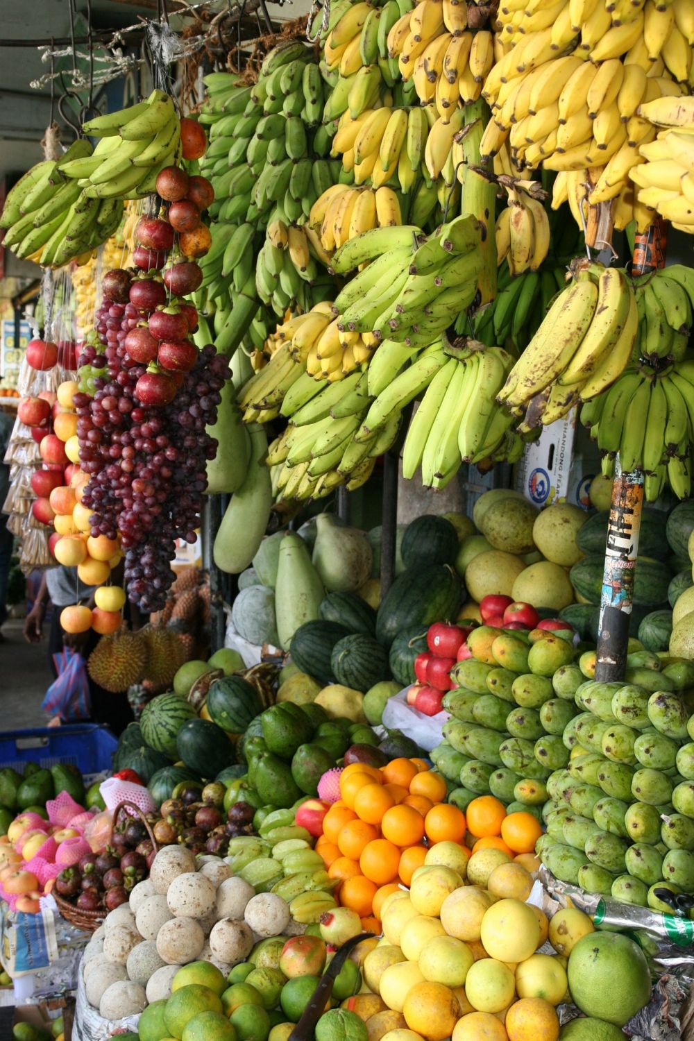 9 Makanan yang Membantu Tubuh Produksi Kolagen, Jadi Awet Muda