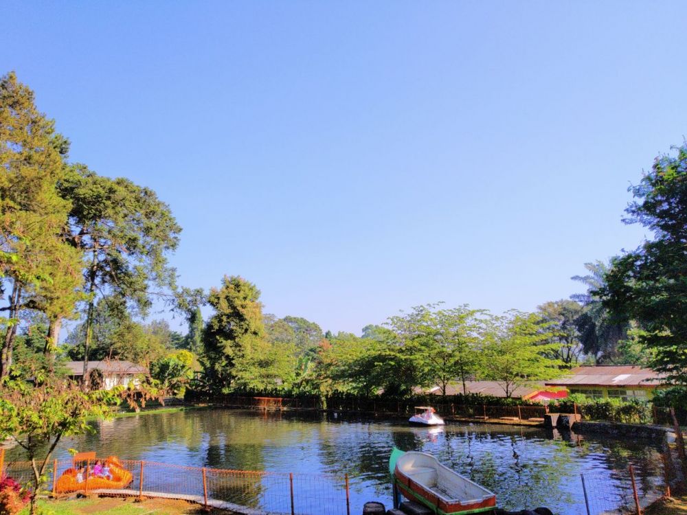5 Lokasi Wisata Serba Hewan di Puncak Bogor, Liburan Makin Seru