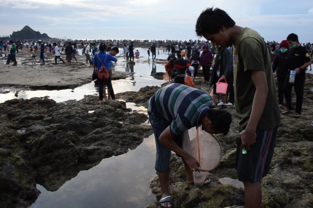10 Hal yang Harus Kamu Tahu Sebelum Ikut 'Bau Nyale' di Lombok 