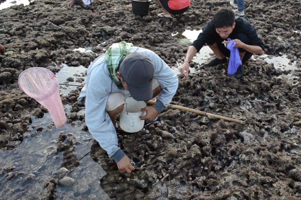 10 Hal yang Harus Kamu Tahu Sebelum Ikut 'Bau Nyale' di Lombok 