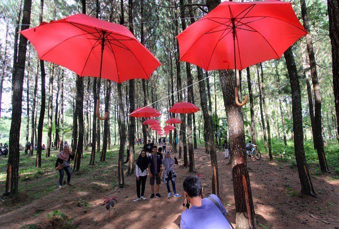 6 Tempat Camping Ground di Banyuwangi dengan Pemandangan Indah