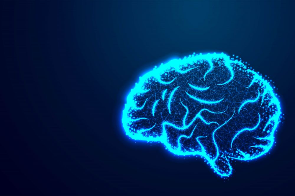 Benarkah Otak Manusia Hanya Digunakan 10 Persen?