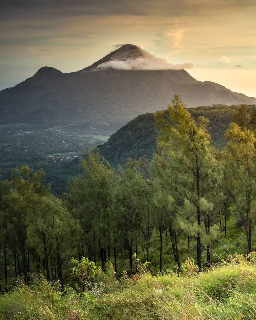 Buat Pendaki Pemula, 6 Wisata Bukit di Mojokerto di Atas 900 Mdpl