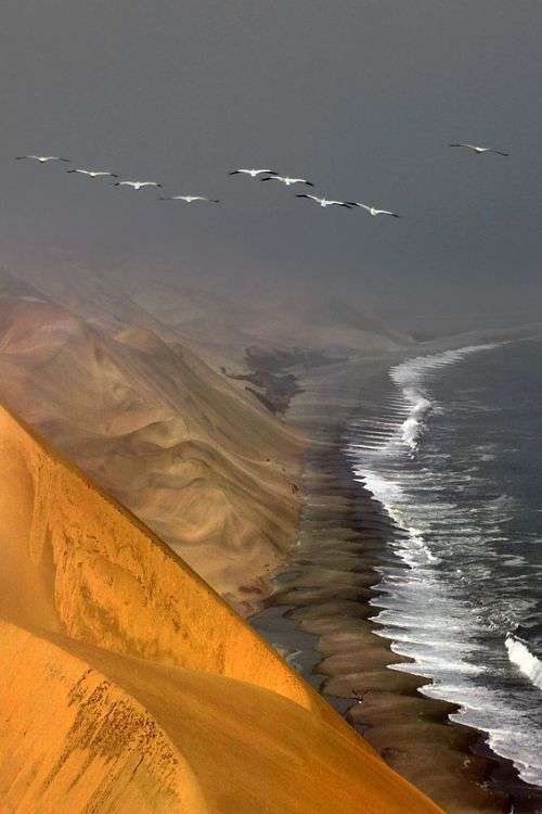 10 Fakta Skeleton Coast, Gurun-Pantai Penuh Bangkai Kapal