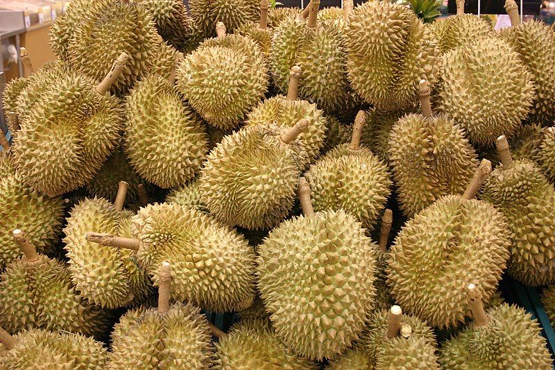 Batas Aman Mengonsumsi Durian agar Tidak Memicu Efek Samping