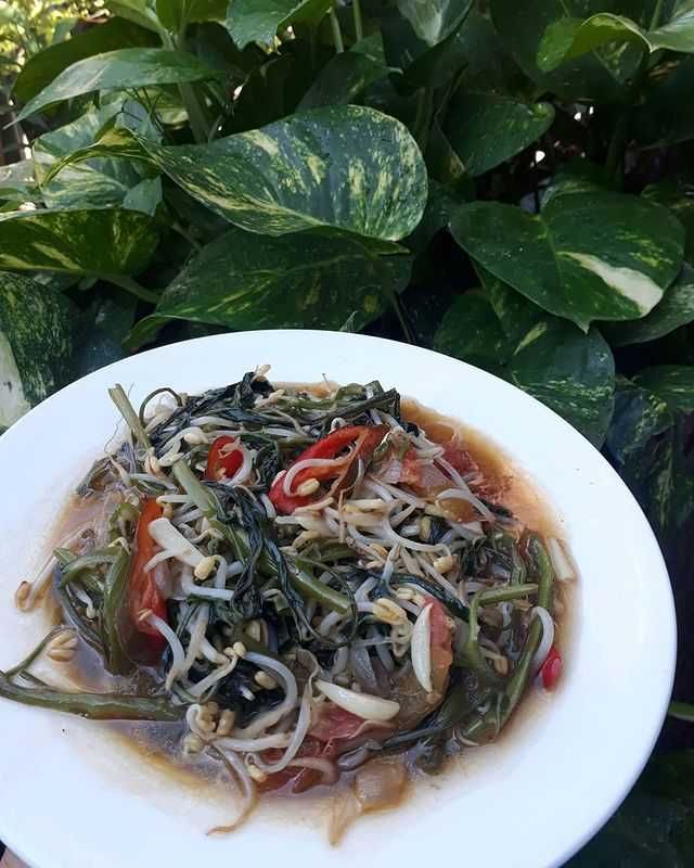 Resep Oseng Kangkung Tauge Tauco, Lauk Simple yang Bikin Ngiler