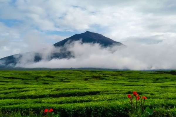 Mengenal Lokasi Ekstrem Jatuhnya Helikopter Kapolda Jambi