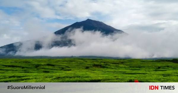 Mengenal Lokasi Ekstrem Jatuhnya Helikopter Kapolda Jambi