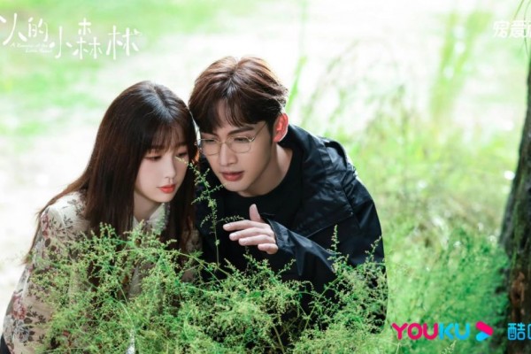 7 Alasan Harus Nonton CDrama A Romance of Little Forest, Minim Konflik
