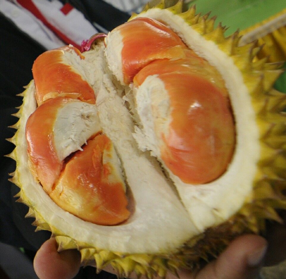 5 Sentra Durian di Banyuwangi, Langsung dari Petani!