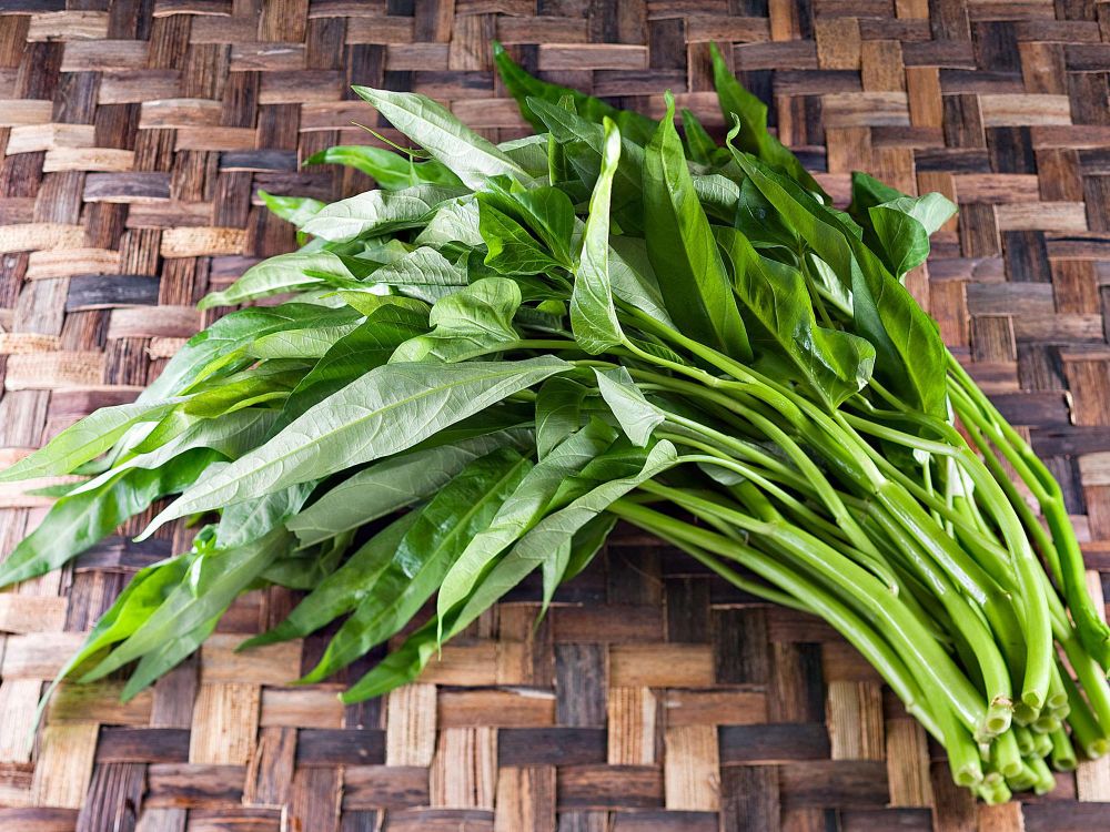 Resep Rujak Kangkung Khas Kuningan, Pedasnya Bikin Mata Melek! 