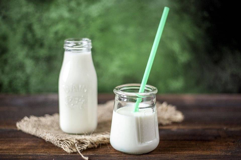 18 Hal Yang Dialami Tubuh Jika Minum Oat Milk Setiap Hari