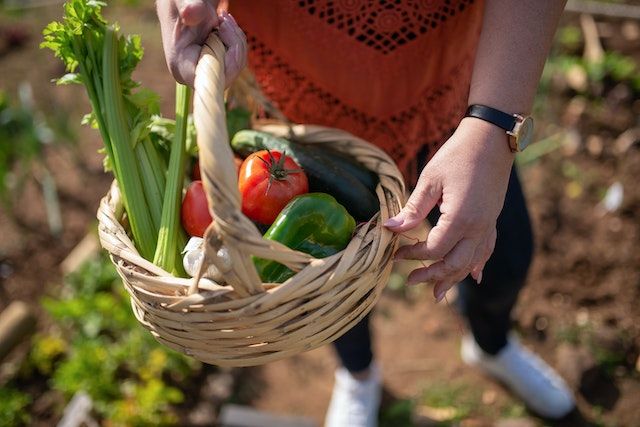 5 Makanan Terbaik untuk Kelinci, Bikin Panjang Umur 