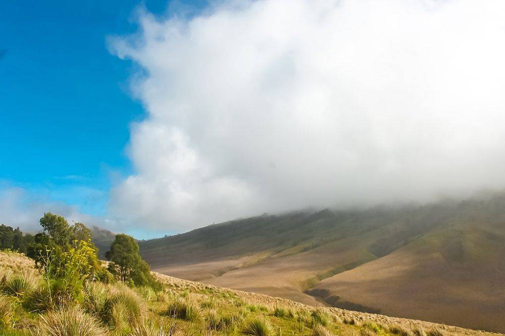 Hal Yang Bisa Kamu Lakukan Di Bromo