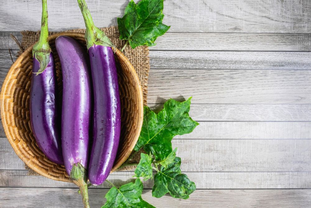 Calabacin y berenjena salteados