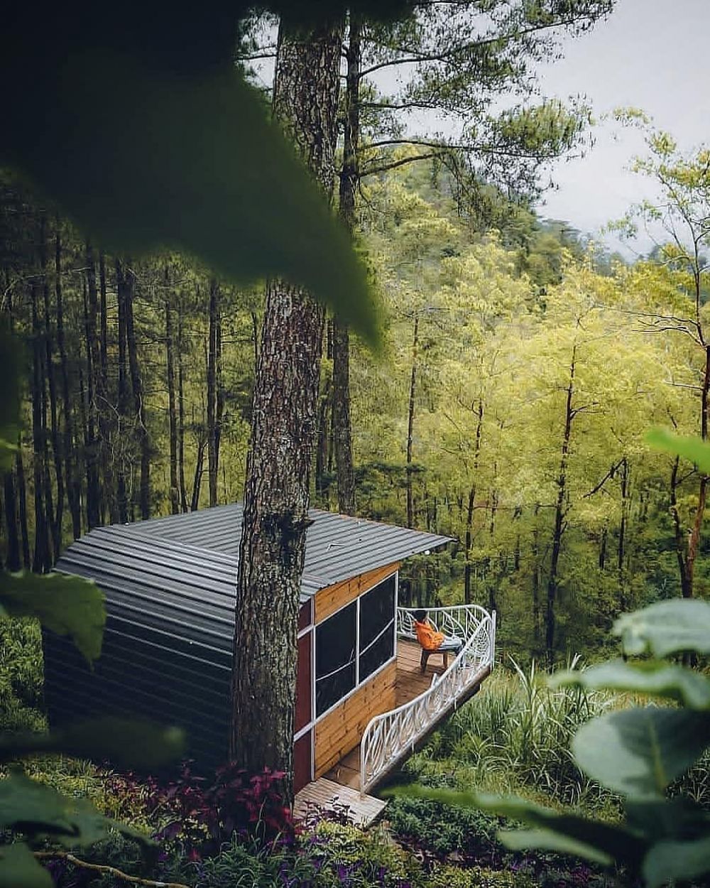 Wisata Taman Langit Malang, Nikmati Pesona Alam dari Gunung Banyak