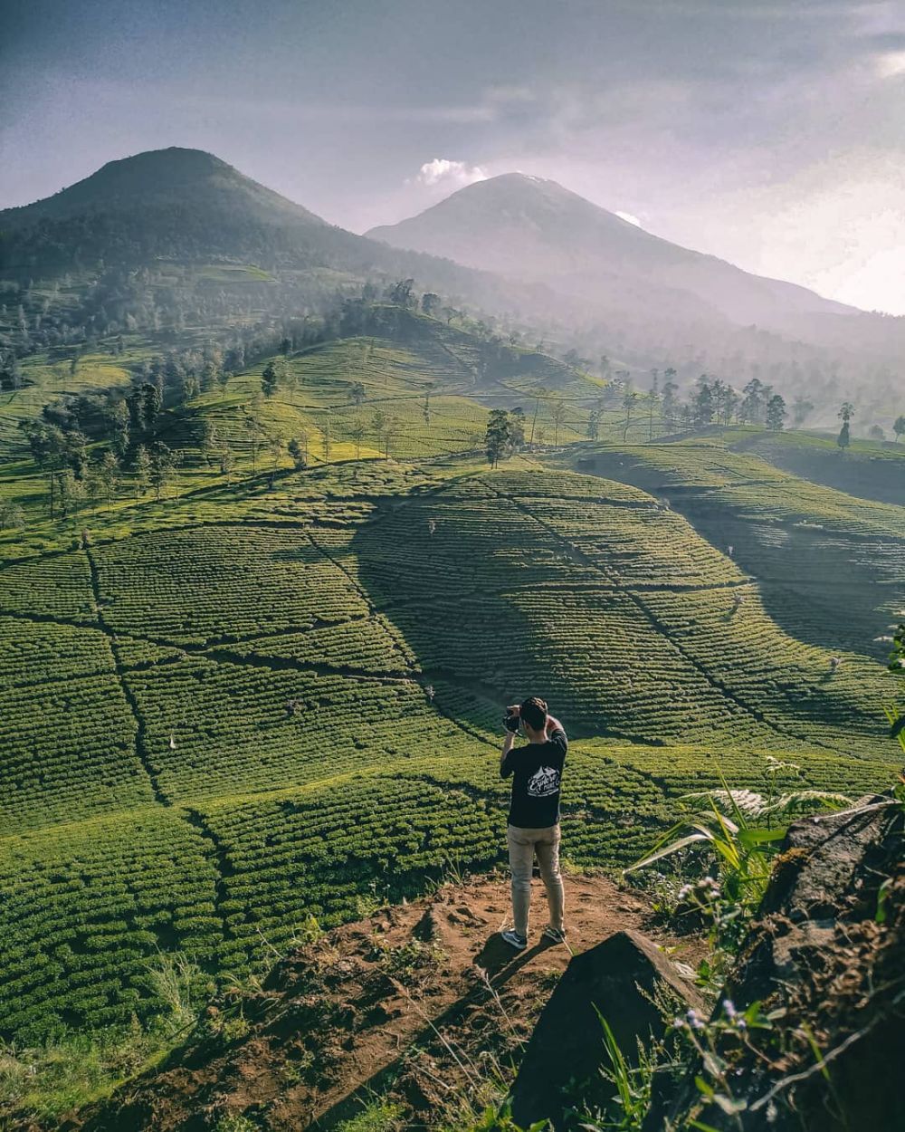 5 Fakta Gunung Cilik Wonosobo, View Kebun Tehnya Menyegarkan