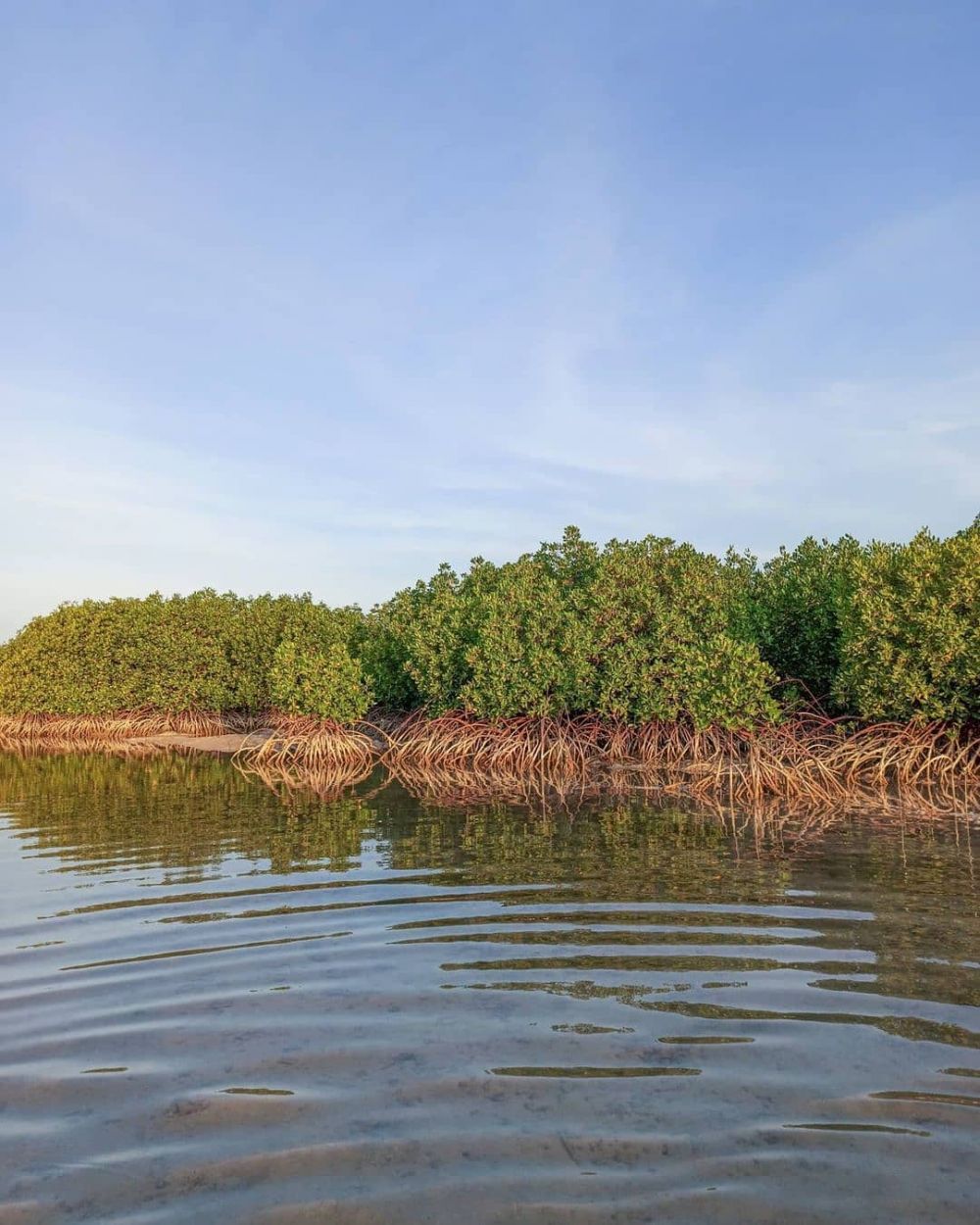 10 Potret Pulau Kalosot Sumenep, Indahnya Masih Alami