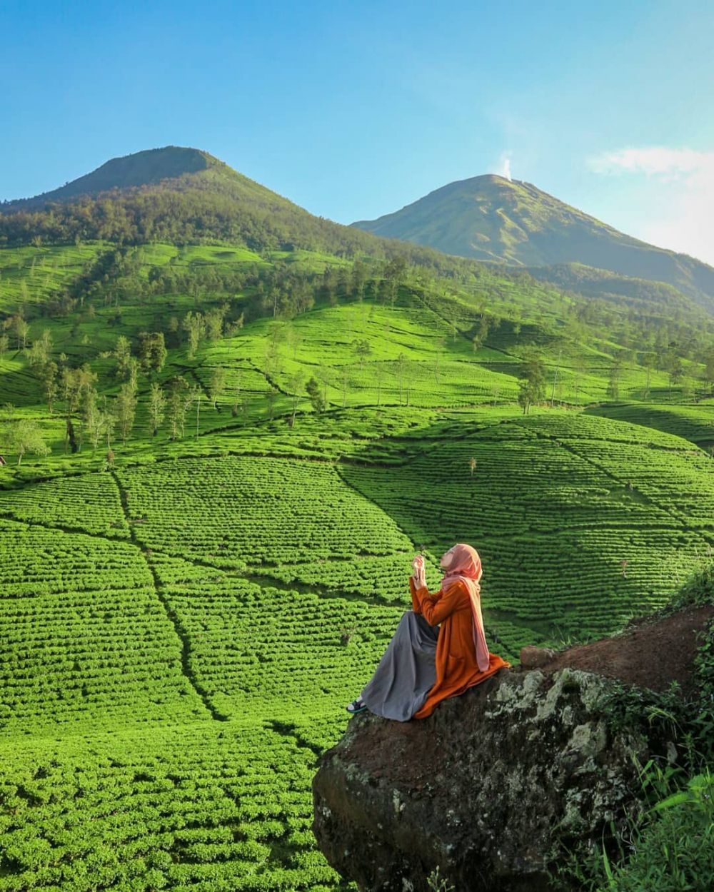 5 Fakta Gunung Cilik Wonosobo, View Kebun Tehnya Menyegarkan