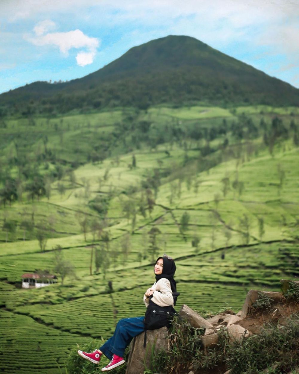 5 Fakta Gunung Cilik Wonosobo, View Kebun Tehnya Menyegarkan