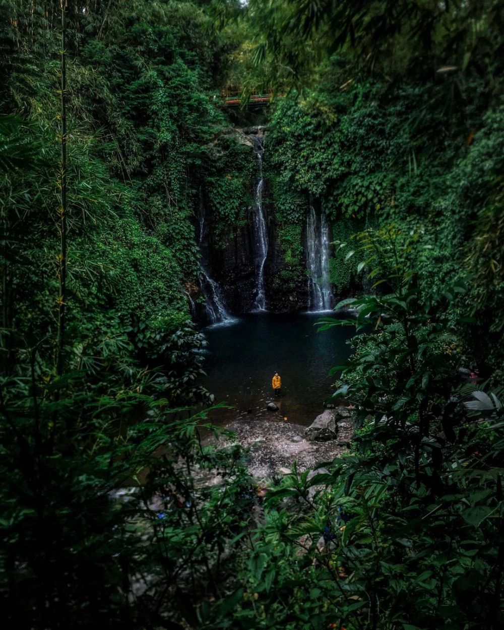 10 Potret Curug Sibedil Air Terjun Indah Di Gunung Slamet Wisatahits