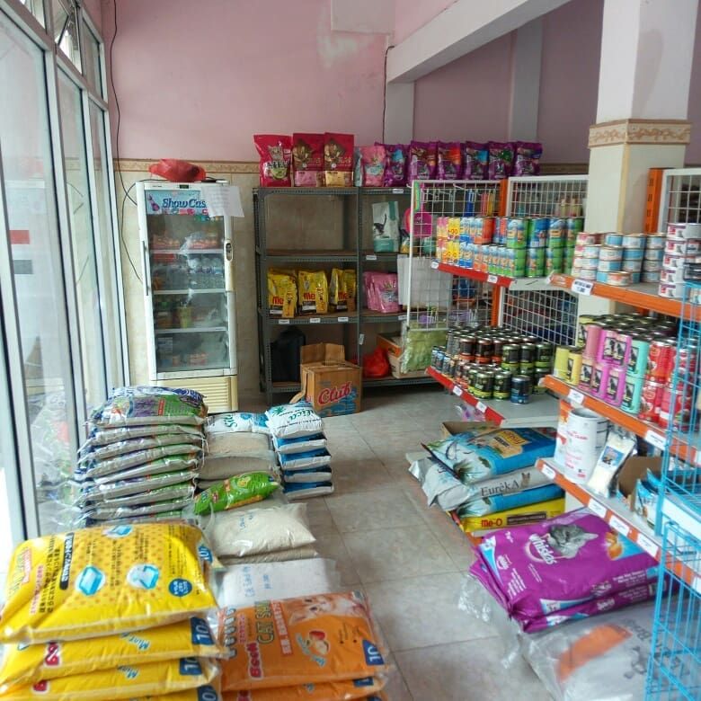 7 Petshop Paling Terkenal di Gresik, Lengkap dan Murah