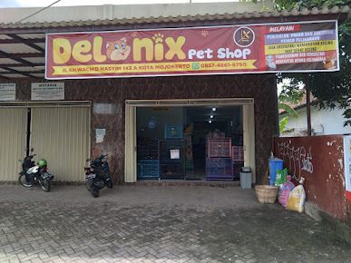 6 Rekomendasi Petshop di Mojokerto, Barang dan Layanan Lengkap!