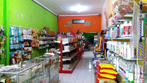 7 Rekomendasi Petshop Terkenal di Malang, Harga Paling Bersaing! 