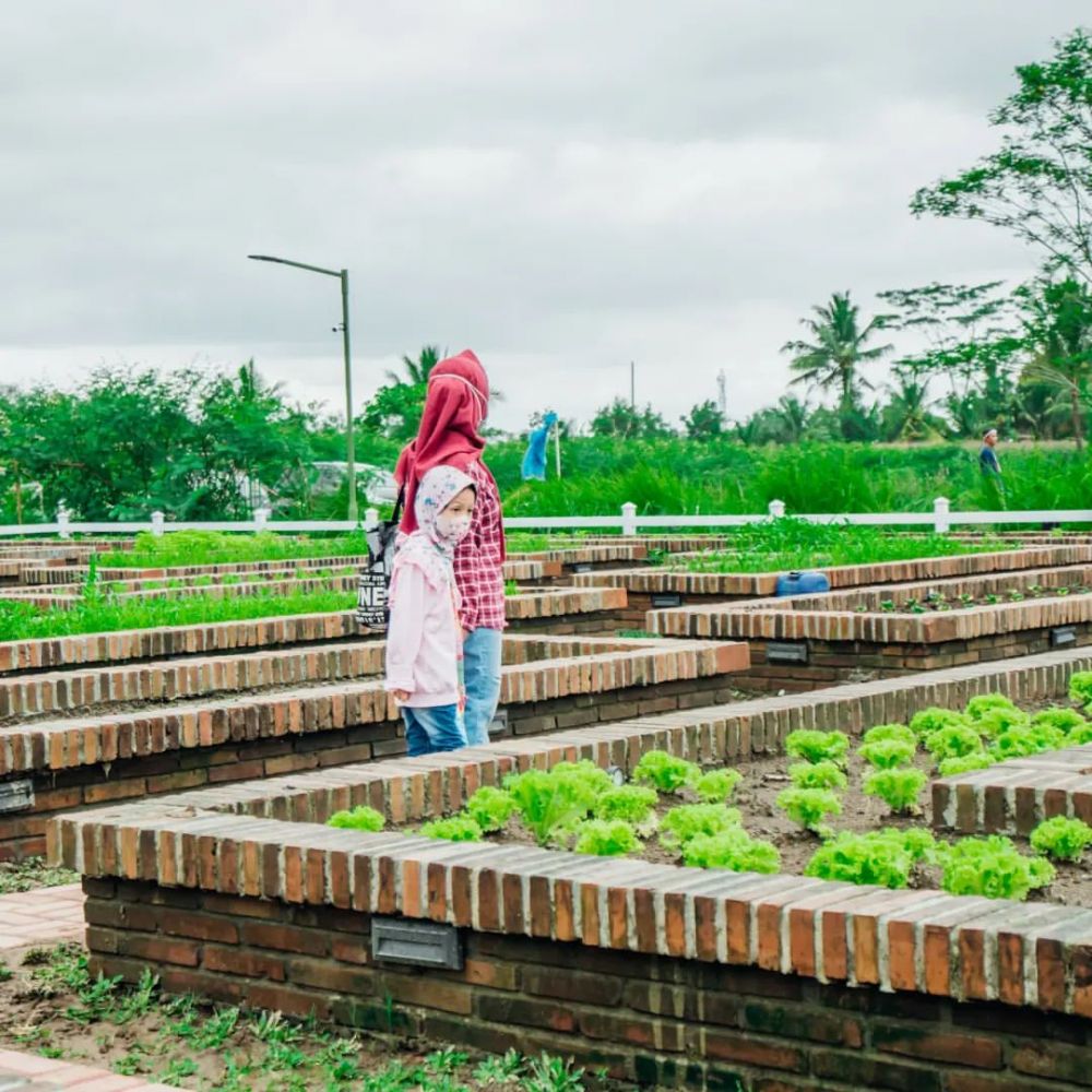 5 Aktivitas Seru di Obelix Village Jogja, Banyak Wahana Menarik!