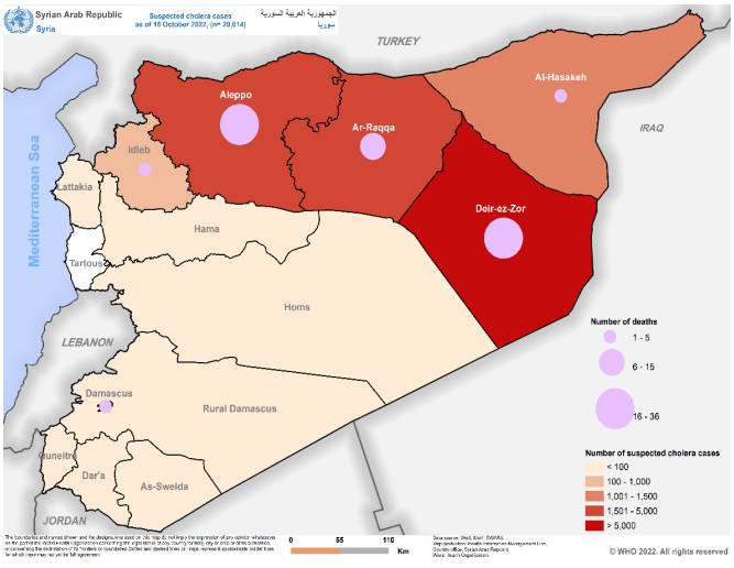 Laporan PBB: Wabah Kolera Merebak Di 14 Provinsi Suriah