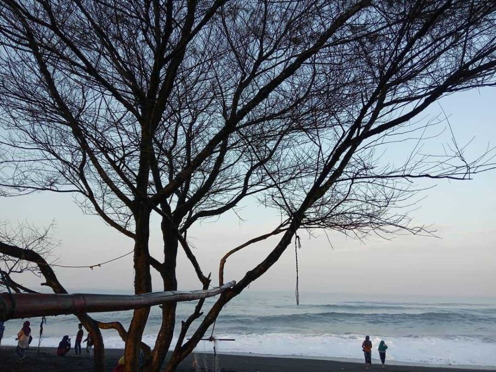 Pantai Bugel Kulon Progo: Info Lokasi, Harga Tiket, dan Tips