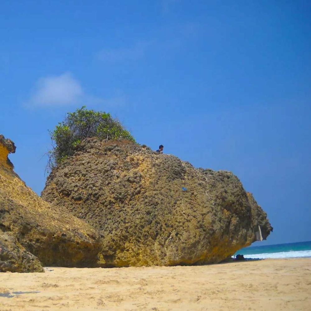 Pantai Kelinci Tulungagung: Rute hingga Tipsnya