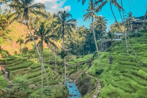 10 Potret Alas Harum Bali, Destinasi Liburan yang Jauh dari Keramaian