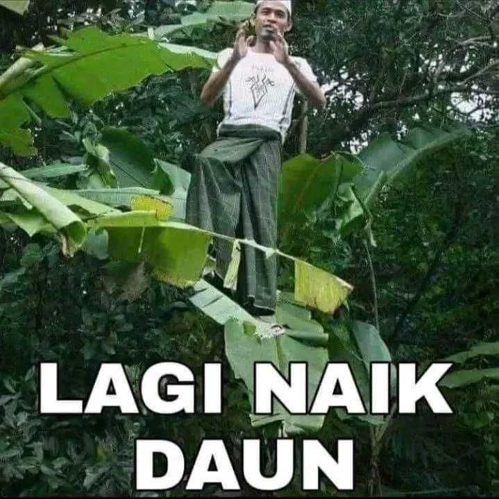 10 Meme Lucu Bikin Ngakak Sempat Tak Terpikirkan Sebelumnya