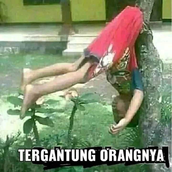 10 Meme Lucu Bikin Ngakak, Sempat Tak Terpikirkan Sebelumnya