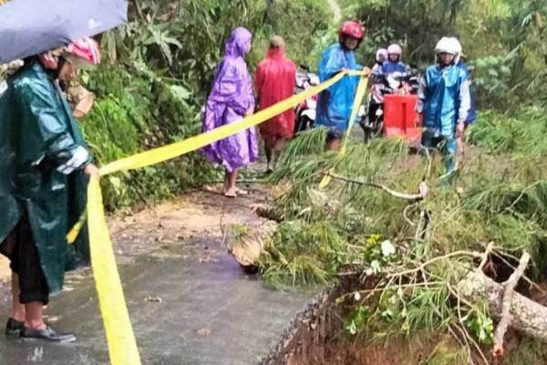 Hujan, 8 Kecamatan Di Trenggalek Longsor