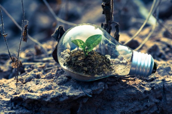 5 Perbedaan Growth Mindset vs Fixed Mindset, Kamu yang Mana?